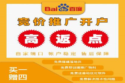 百度推广在电商行业的应用案例分析